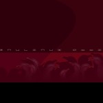 GNU-Linux-Addict-010