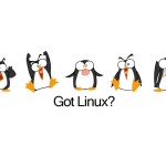 Got-Linux-001