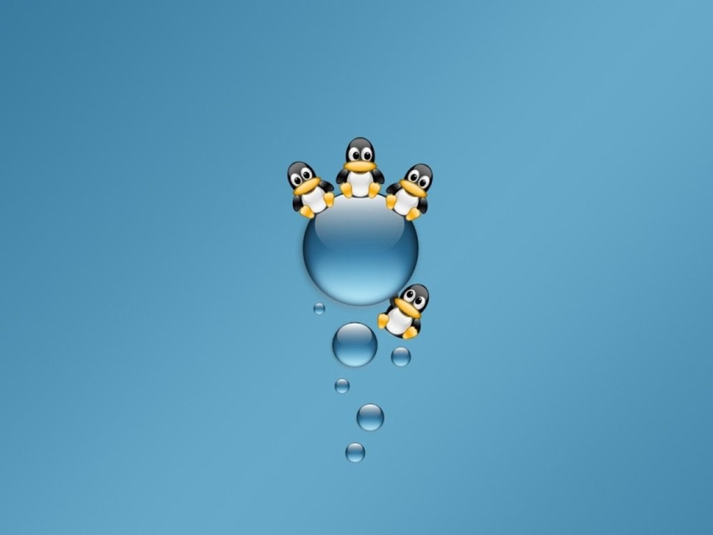 The-Bubble-Riders-001
