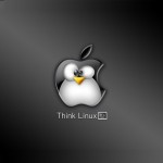Think-Linux-001