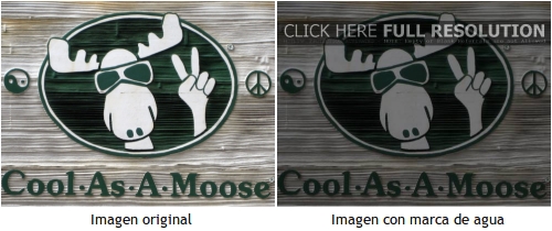 Imagen original e imagen con marca de agua