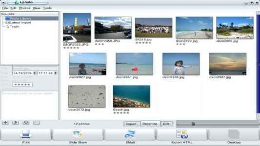 Lphoto