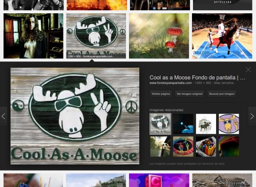 Nueva busqueda e imagenes de Google