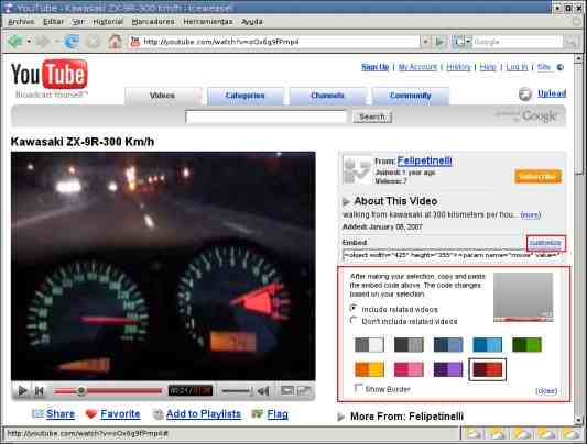 WordPress customizar video