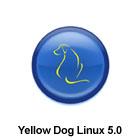 Yellow Dog